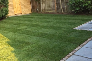 Photo-05-04-2019-07-55-09